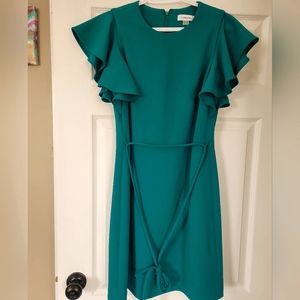 Size 4 Calvin Klein Dress